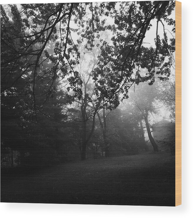 Monochrome Wood Print featuring the photograph Fog In The Trees by Frank J Casella