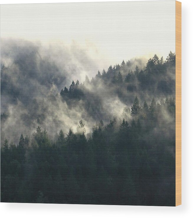 Oregon Wood Print featuring the photograph Fog Moving Through The Hills by KATIE Vigil