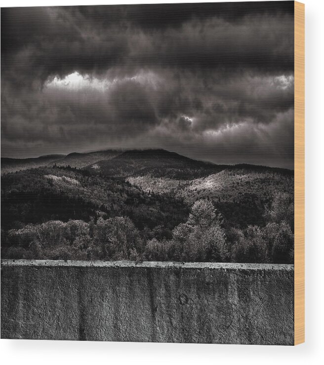Landscape Wood Print featuring the photograph Forest Behind The Wall by Bob Orsillo
