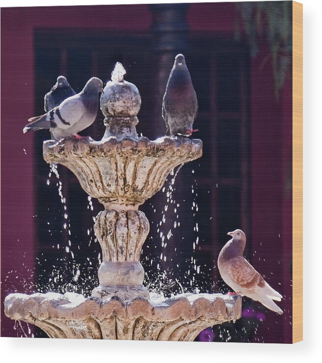 Water Fountain Wood Print featuring the photograph At the fountain by Tatiana Travelways