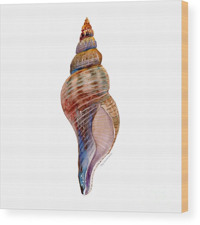 Conch Shell Painting Wood Print featuring the painting Fox Shell by Amy Kirkpatrick