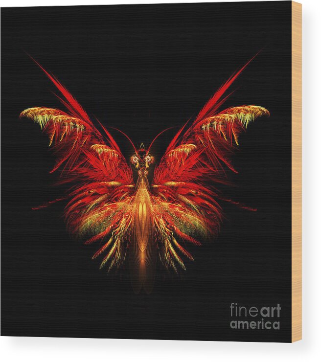 Flame Fractal Wood Print featuring the digital art Fractal Butterfly by John Edwards