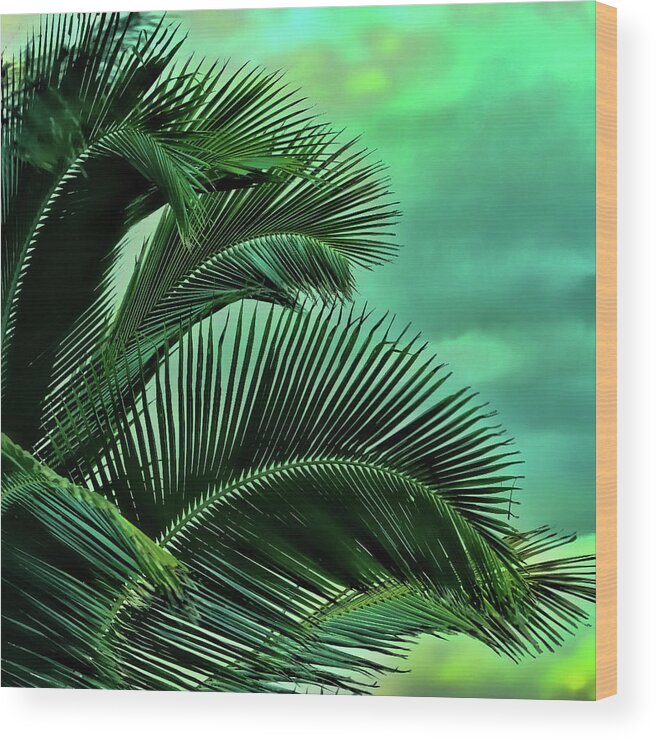 Palms Wood Print featuring the photograph Frawns by Joetta West