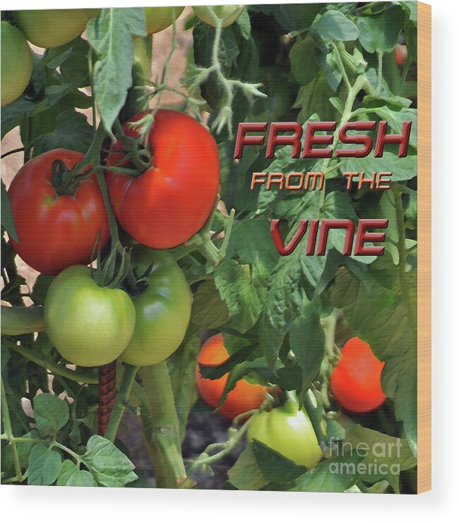 Food Wood Print featuring the photograph Fresh From The Vine by Lydia Holly