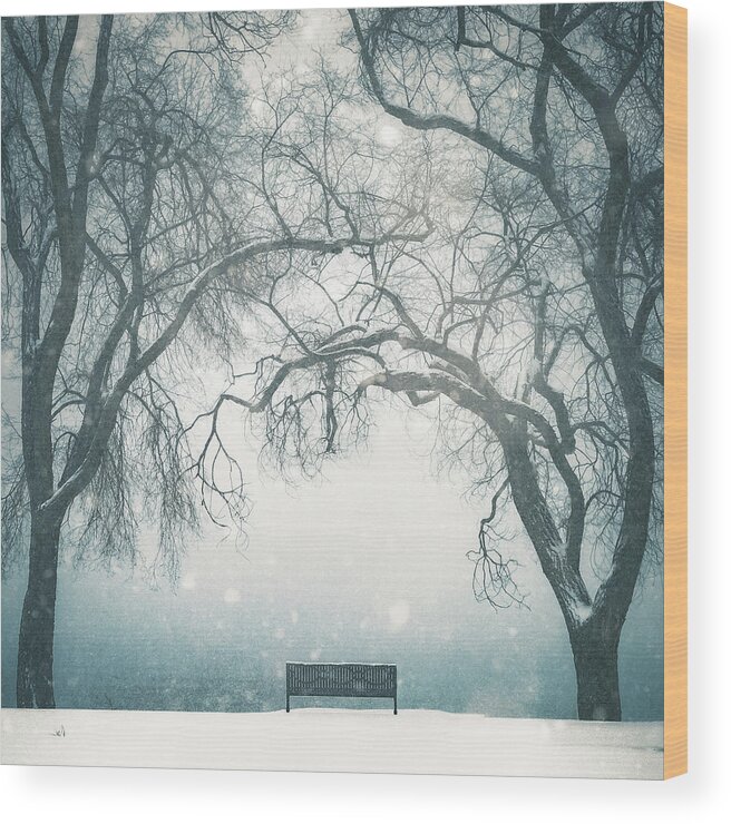 Park Bench Wood Print featuring the photograph Front Row Seat by Debi Bishop
