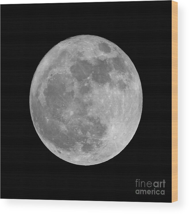 Moon Wood Print featuring the photograph Full Moon in Black and White by Paul Topp
