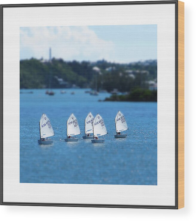 Richard Reeve Wood Print featuring the photograph Gallery Image - Small World by Richard Reeve