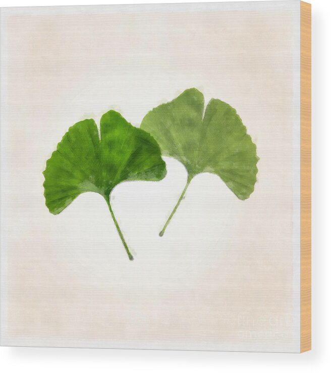 Nature Wood Print featuring the photograph Ginkgo Leaves Watercolor by Edward Fielding