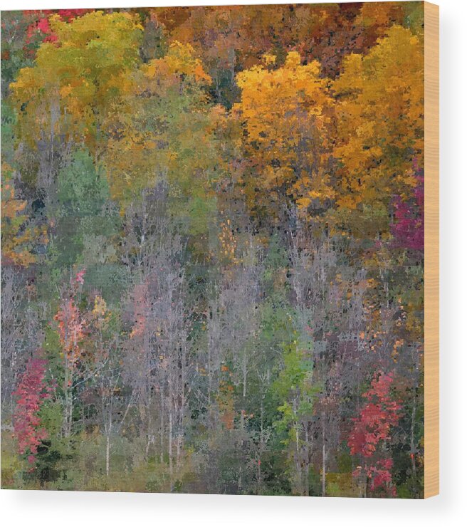 Art Wood Print featuring the photograph Gold Woods by Joan Han