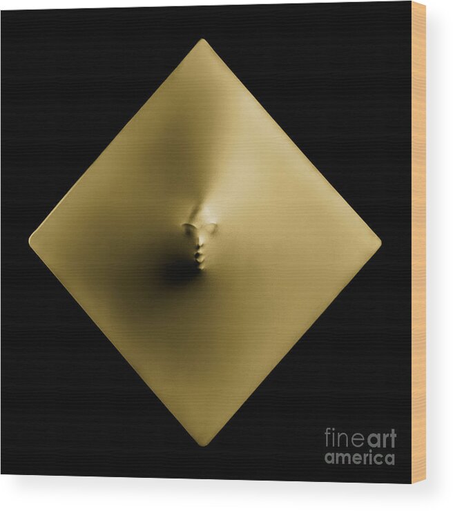 Cube Wood Print featuring the photograph Golden Diamond by Maxim Images Exquisite Prints