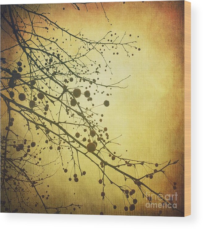 Branches Wood Print featuring the photograph Golden by Onedayoneimage Photography