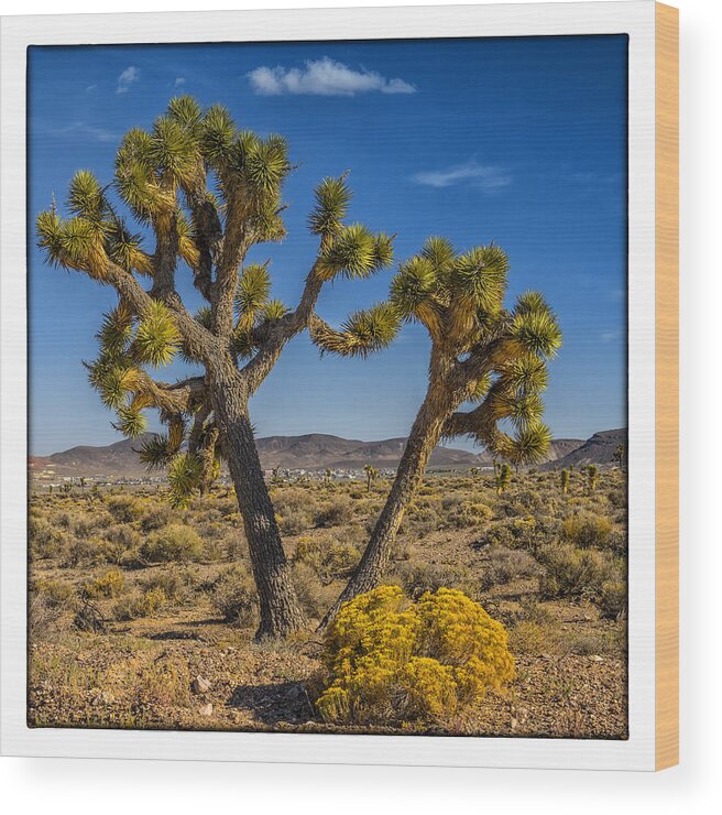 Nevada Wood Print featuring the photograph Goldfield NV from Gem Field Rd by Janis Knight