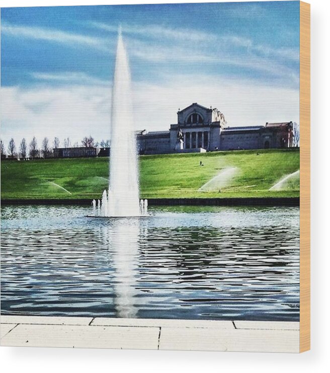 Blue Wood Print featuring the photograph Gorgeous Day Today At Forest Park by Genevieve Esson