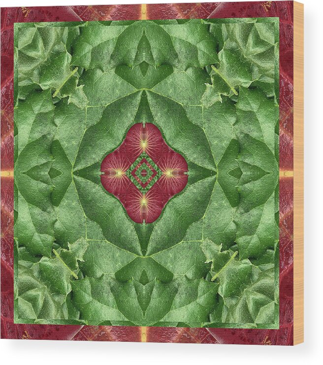 Mandalas Wood Print featuring the photograph Green Machine by Bell And Todd