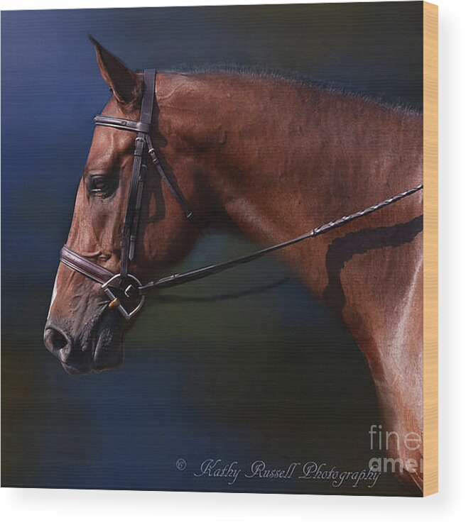 Horse Wood Print featuring the photograph Handsome Profile by Kathy Russell