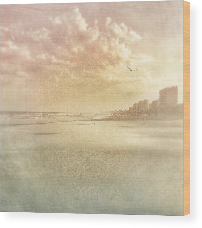 Photography Wood Print featuring the photograph Hazy Day at the Beach by Melissa D Johnston