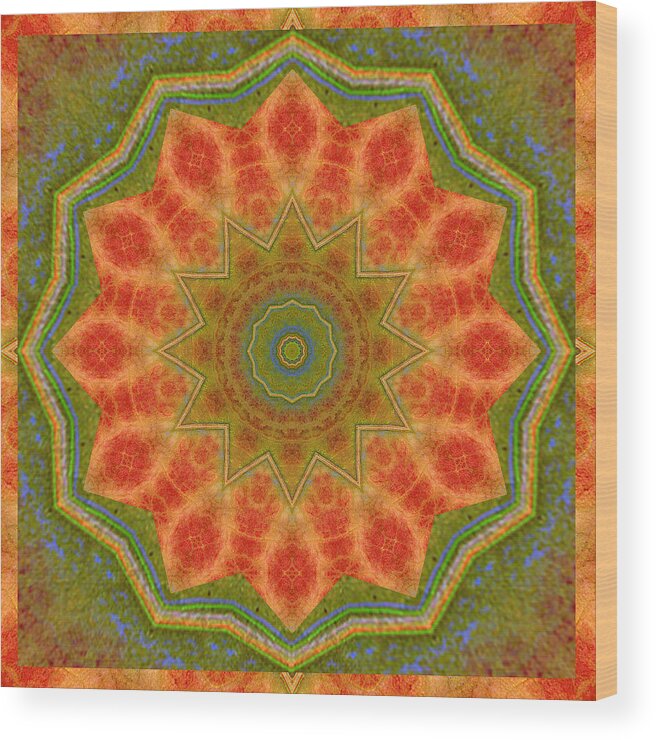  Wood Print featuring the photograph Healing Mandala 14 by Bell And Todd