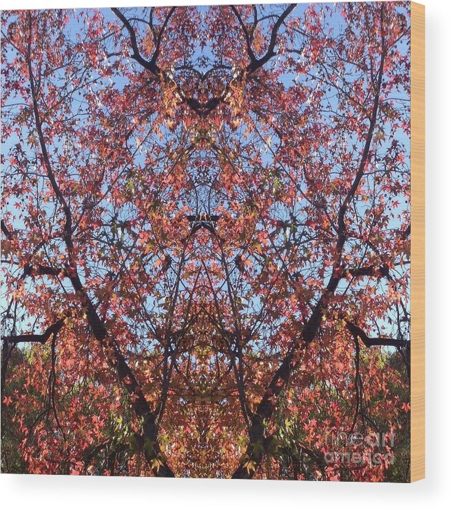 Hues Wood Print featuring the photograph Heart by Nora Boghossian