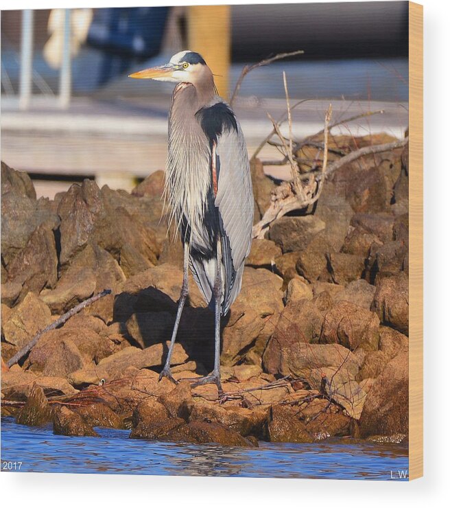 Heron On The Rocks Wood Print featuring the photograph Heron On The Rocks by Lisa Wooten