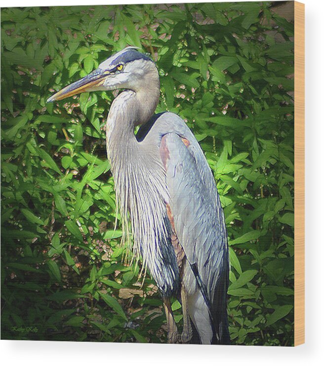 Heron Wood Print featuring the digital art Blue Heron with an Attitude by Kathy Kelly