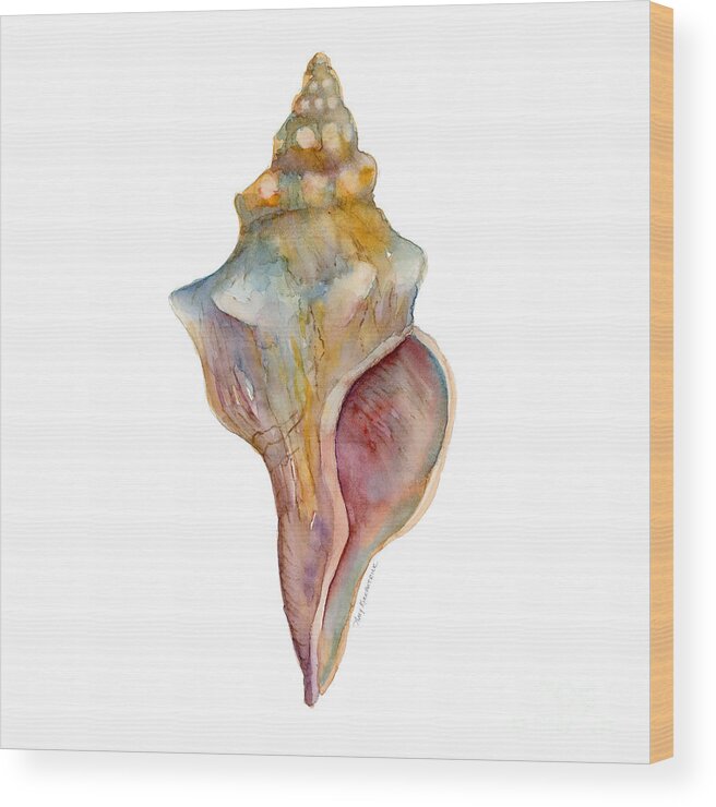 Conch Shell Painting Wood Print featuring the painting Horse Conch Shell by Amy Kirkpatrick