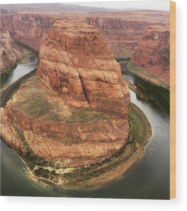 Arizona Wood Print featuring the photograph Horseshoe Bend, Colorado River, Page by Jen Lynn Arnold