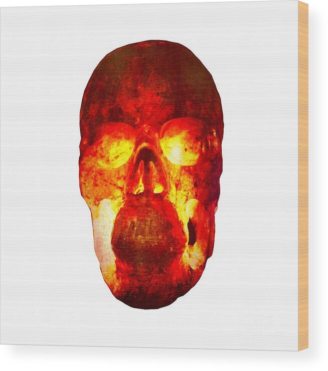 T-shirt Wood Print featuring the photograph Hot Headed Skull on Transparent background by Terri Waters