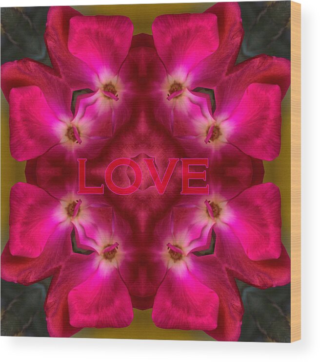 Kaleidoscope Design Wood Print featuring the photograph Hot Love by Mary Buck