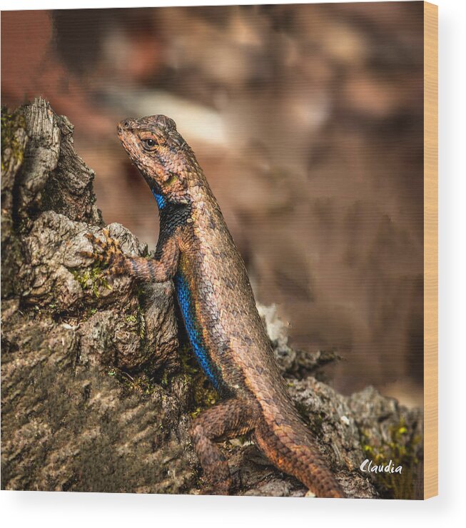 Lizard Wood Print featuring the photograph Hugo the Lizard by Claudia Abbott