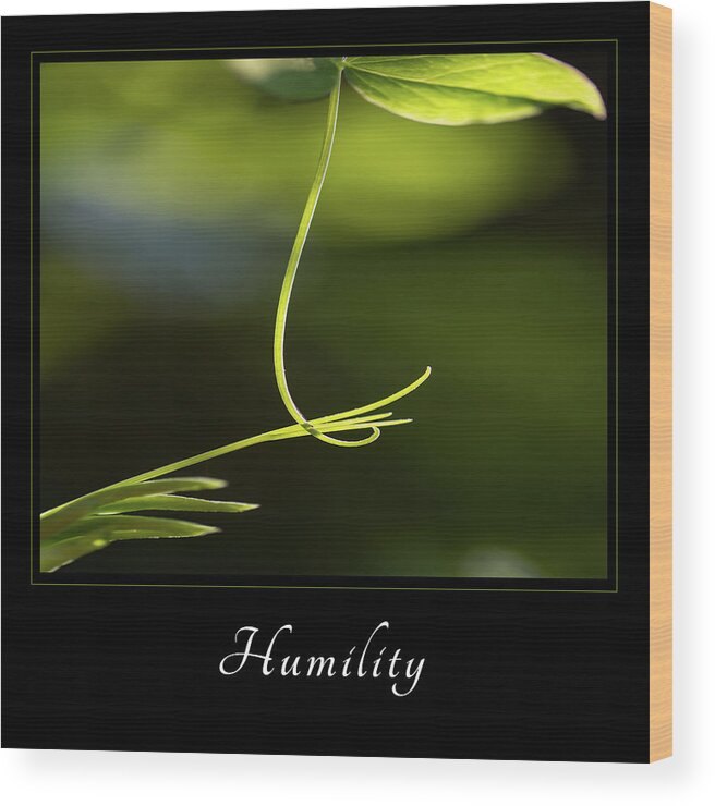 Inspiration Wood Print featuring the photograph Humility 2 by Mary Jo Allen