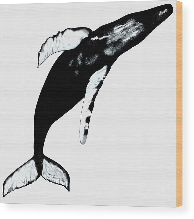 Humpback Whale Wood Print featuring the painting Humpback Whale on White by Corey Ford