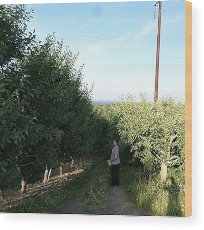  Wood Print featuring the photograph Husband In The Orchards. 💚💚💚 by Stephanie Piaquadio
