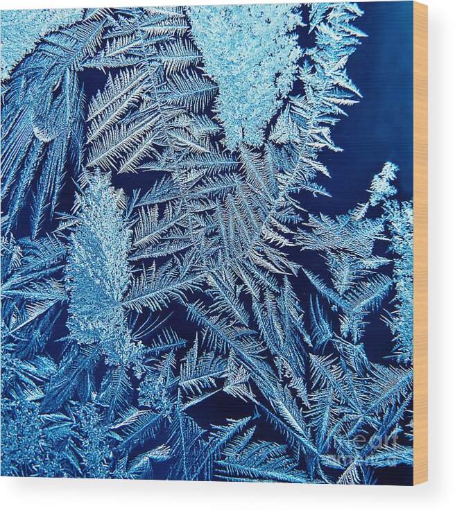 Ice Wood Print featuring the photograph ice by HD Connelly