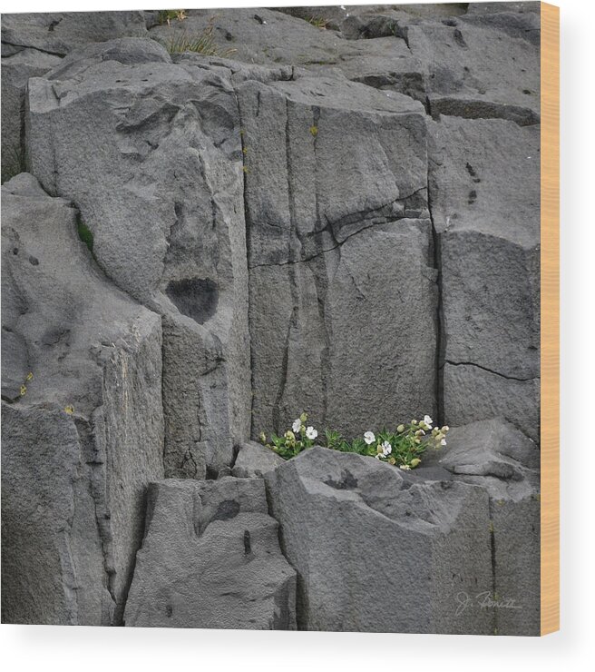 Iceland Wood Print featuring the photograph Iclandic Stone Serenade by Joe Bonita