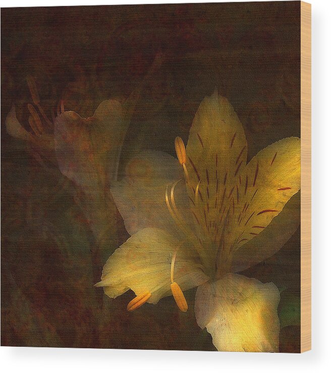 Day Lilies Wood Print featuring the photograph Illumination by Bonnie Bruno