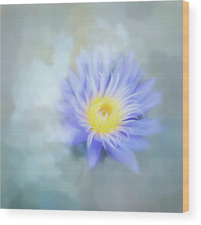 Waterlily Wood Print featuring the photograph In My Dreams. by Usha Peddamatham