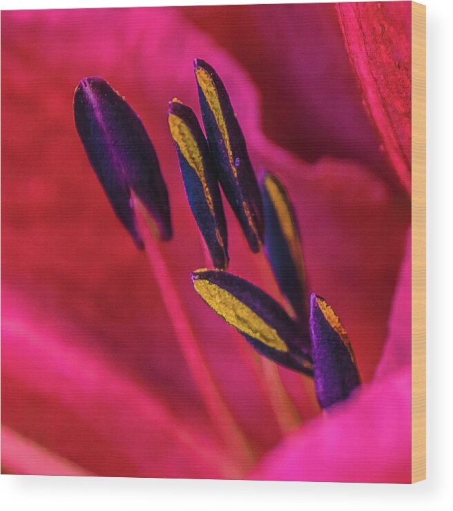 Macro Wood Print featuring the photograph Inner Lily Macro Two by Julie Palencia