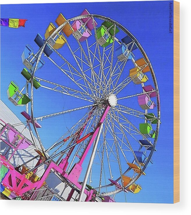 Wheel Wood Print featuring the photograph #instafun At The #austin by Austin Tuxedo Cat