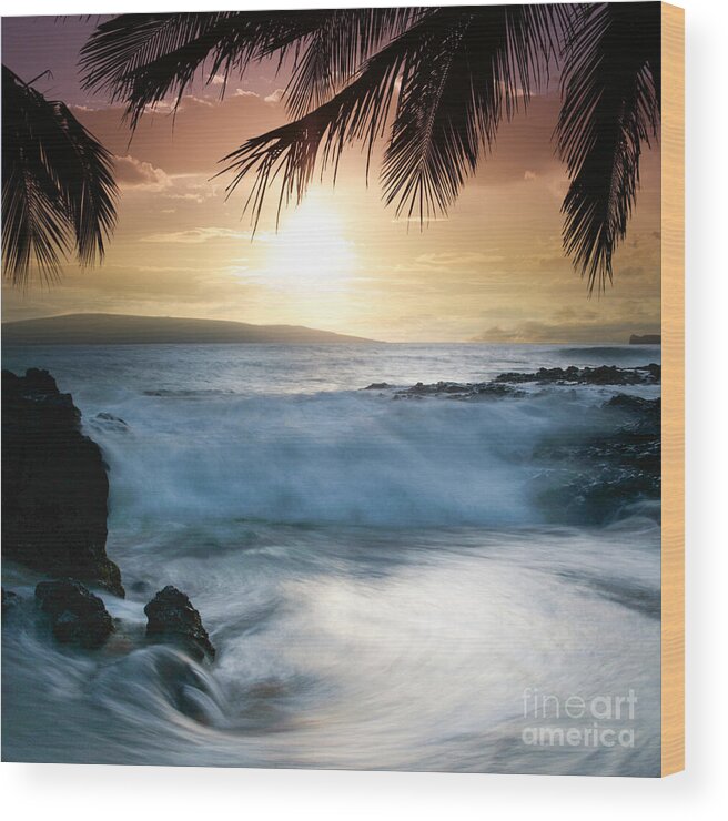 Beach Wood Print featuring the photograph Integrations by Sharon Mau