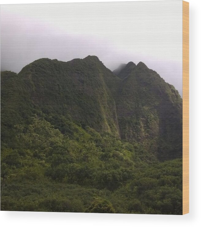 Maui Wood Print featuring the photograph #ioa Valley Has #jurassic Like Beauty by Maui Eclipse