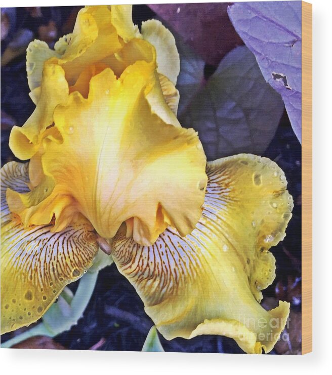 Macro Wood Print featuring the photograph Iris Supreme by Vonda Lawson-Rosa