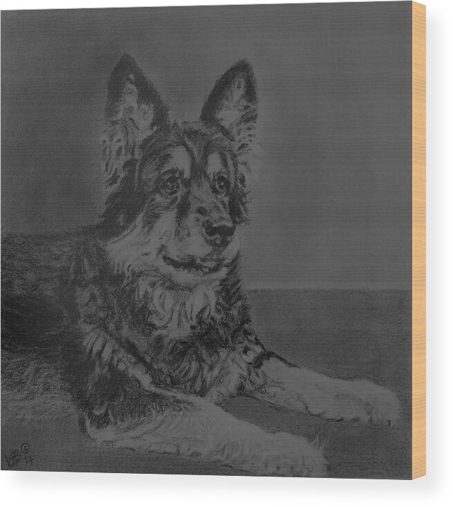 Belgian Shepherd Wood Print featuring the painting Izzy by Vera Smith