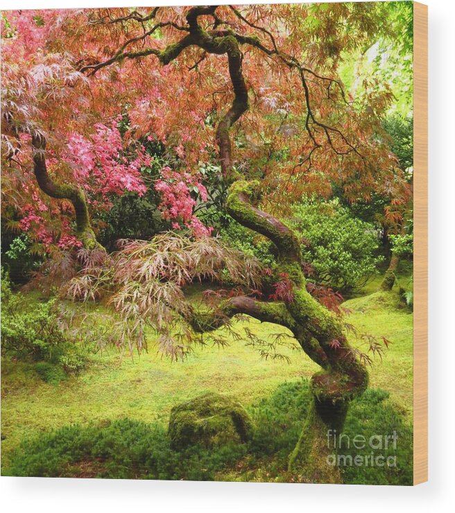 Trees Wood Print featuring the photograph Japanese Garden by Anita Adams
