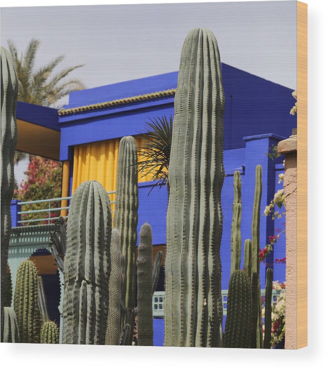 Jardin Majorelle Wood Print featuring the photograph Jardin Majorelle 5 by Andrew Fare