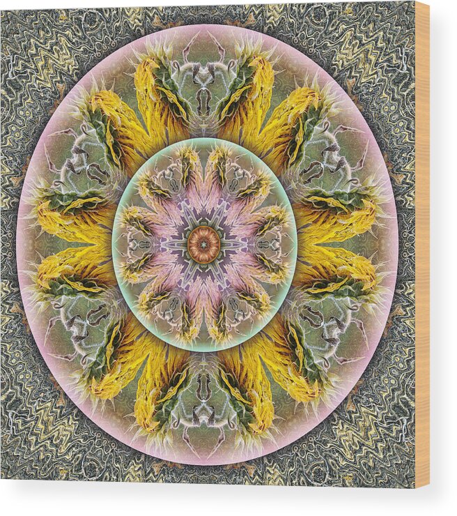 Symbolism Mandalas Wood Print featuring the digital art Jitterbug by Becky Titus