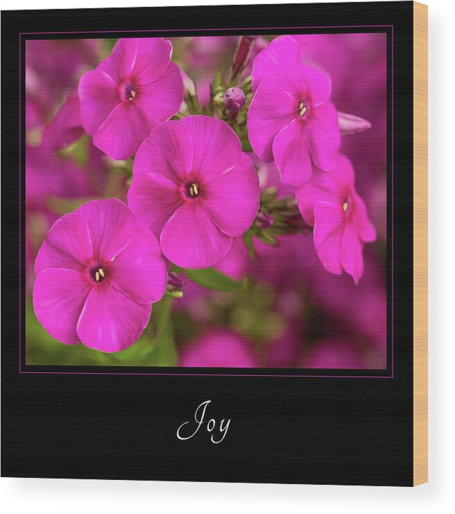 Inspiration Wood Print featuring the photograph Joy 2 by Mary Jo Allen