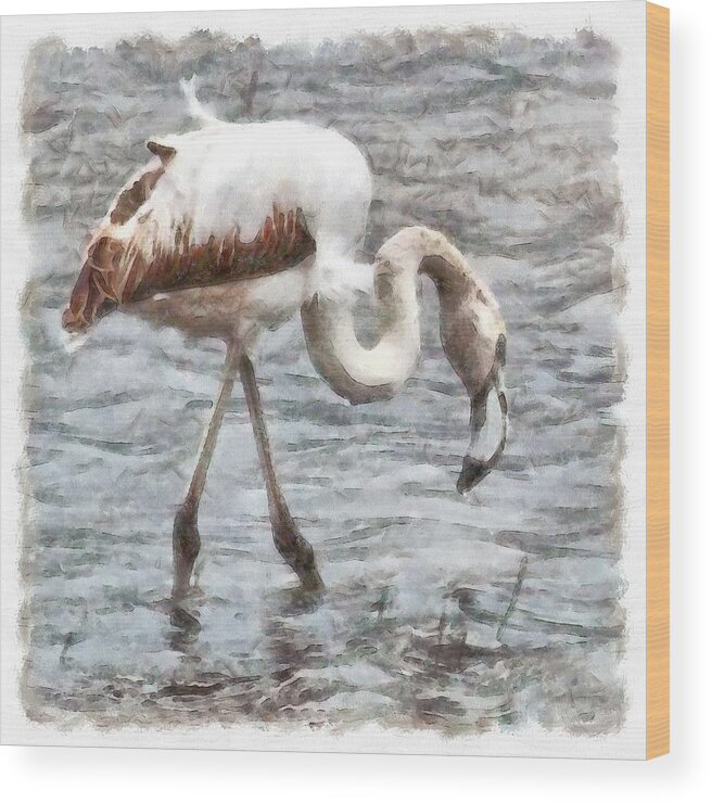 Flamingo Wood Print featuring the painting Knee Deep Flamingo Watercolor by Taiche Acrylic Art
