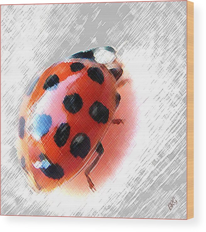 Ladybug Wood Print featuring the photograph Ladybug Spectacular by Ben and Raisa Gertsberg