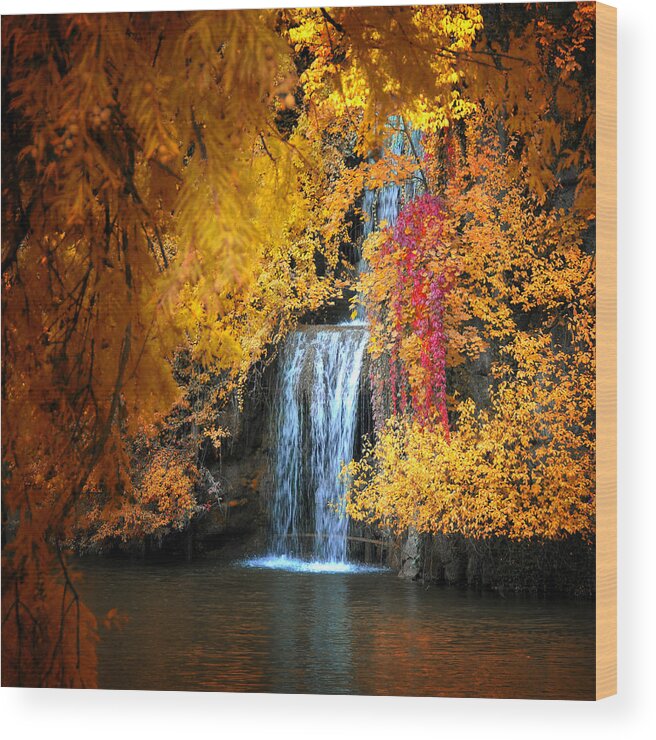 Waterfall Wood Print featuring the photograph Let It Flow by Philippe Sainte-Laudy