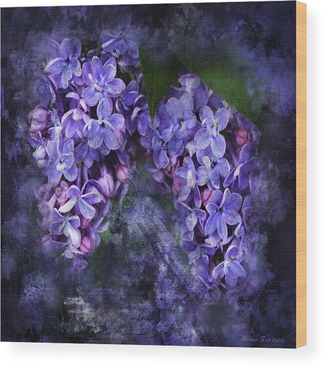 Lilac Wood Print featuring the photograph Lilacs Frenchy Scruff by Anna Louise